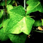 NBA篮球比分直播:实时更新今日赛况与精彩对决 0sw6ycdd